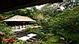 Maya ubud 03.JPG